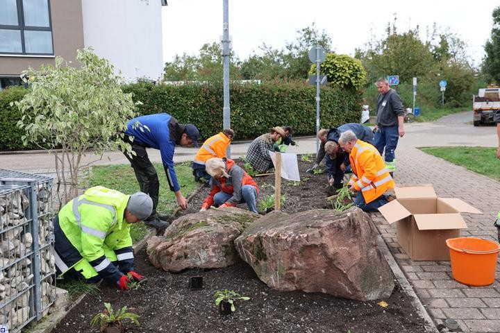 Viele Menschen setzen Pflanzen in die Erde