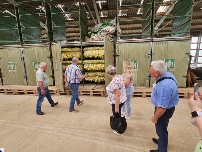 Tabakverarbeitung  Tabakverarbeitung