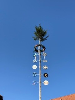 Ein Maibaum mit Zunftschildern vor blauem Himmel