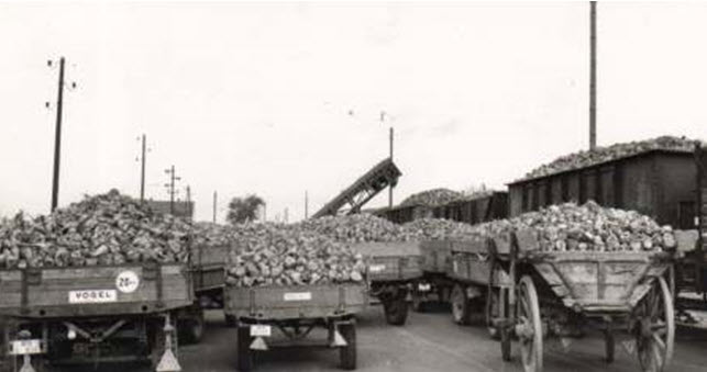 Zuckerrüben – Verladeanlage am Plankstädter Bahnhof Zuckerrüben – Verladeanlage am Plankstädter Bahnhof
